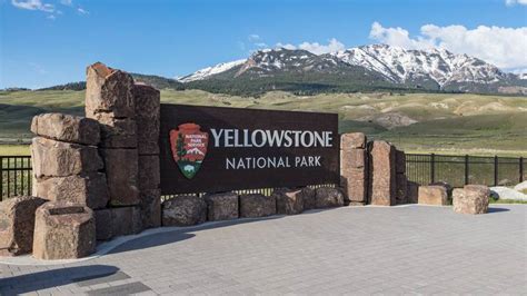 yellowstone national park rangers